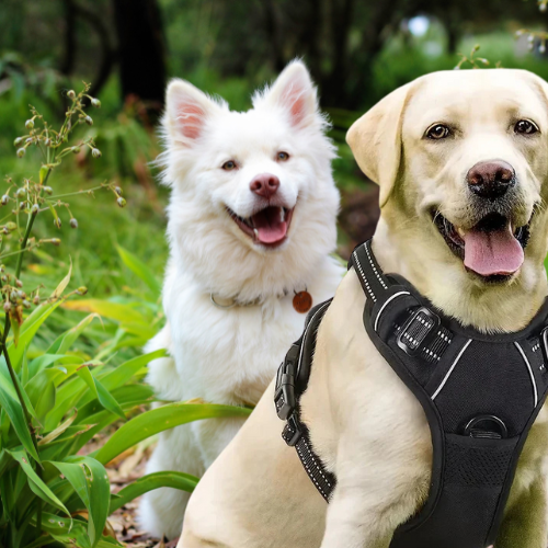 DoggoFit™ Easy Handle Harness