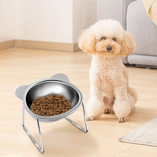 WhiskerEase Tilted Pet Bowl Daily