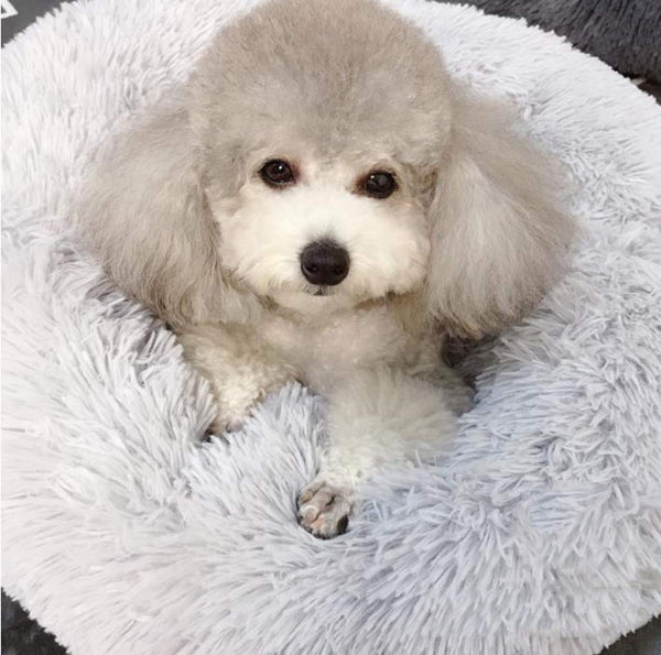 FurHaven Cozy Pet Nest