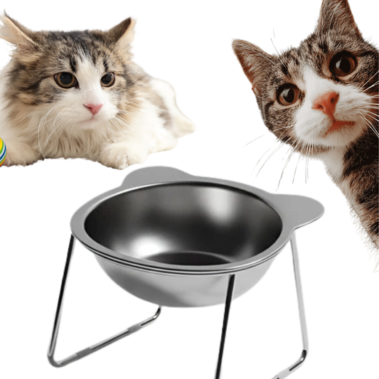 WhiskerEase™ Tilted Feeding Bowl
