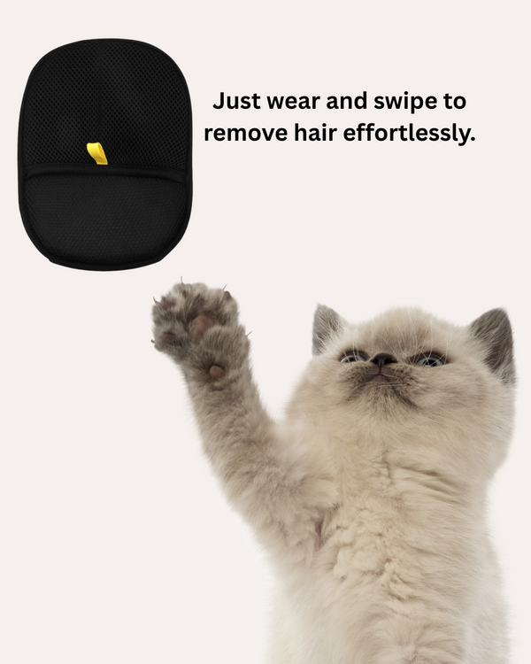 Magic Pet Hair Gloves