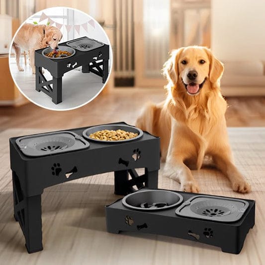 PawMealPro Feeding Station