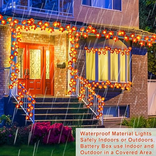 Cozy Maple Leaf Lights